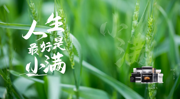 十大品牌科恩集成灶：廚房亦需“小滿”！